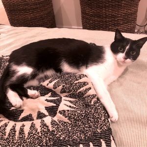 Meet your Posher, Juhi